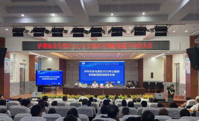 公租房实物配租公开摇号，龙马潭区161户家庭喜获公租房，申请方式