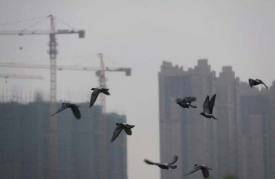 中建系逆势大量拿地，楼市深度调整下的“隐形地主”曝光